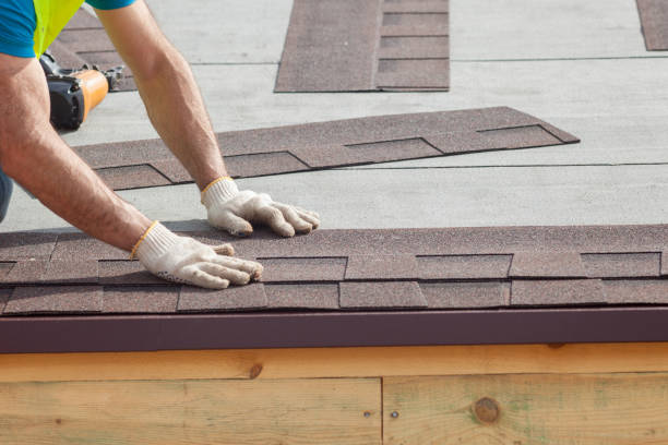 Best Roof Maintenance and Cleaning  in Ramseur, NC